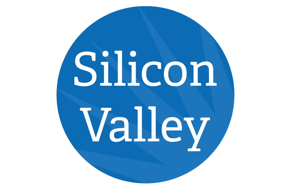 Silicon Valley 1-4