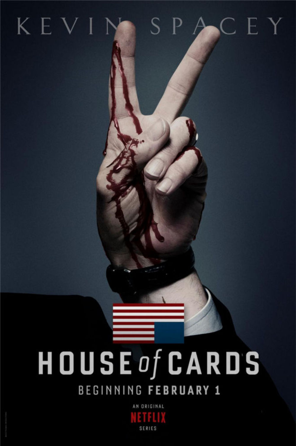 House of Cards-2