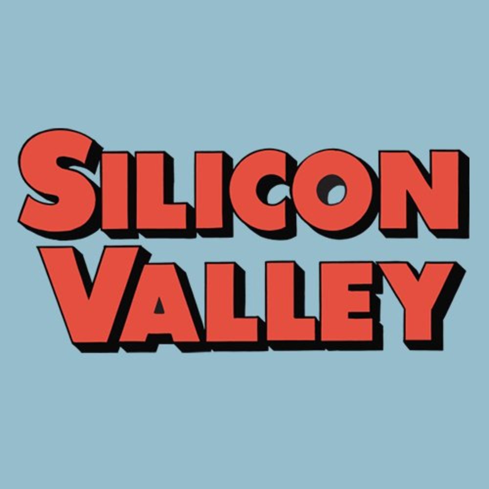 Silicon Valley(1-1)