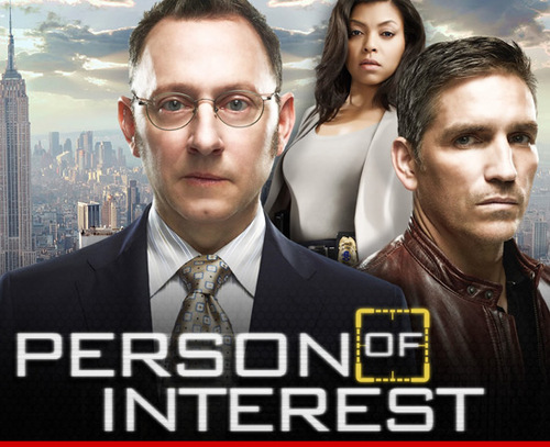 Person of Interest