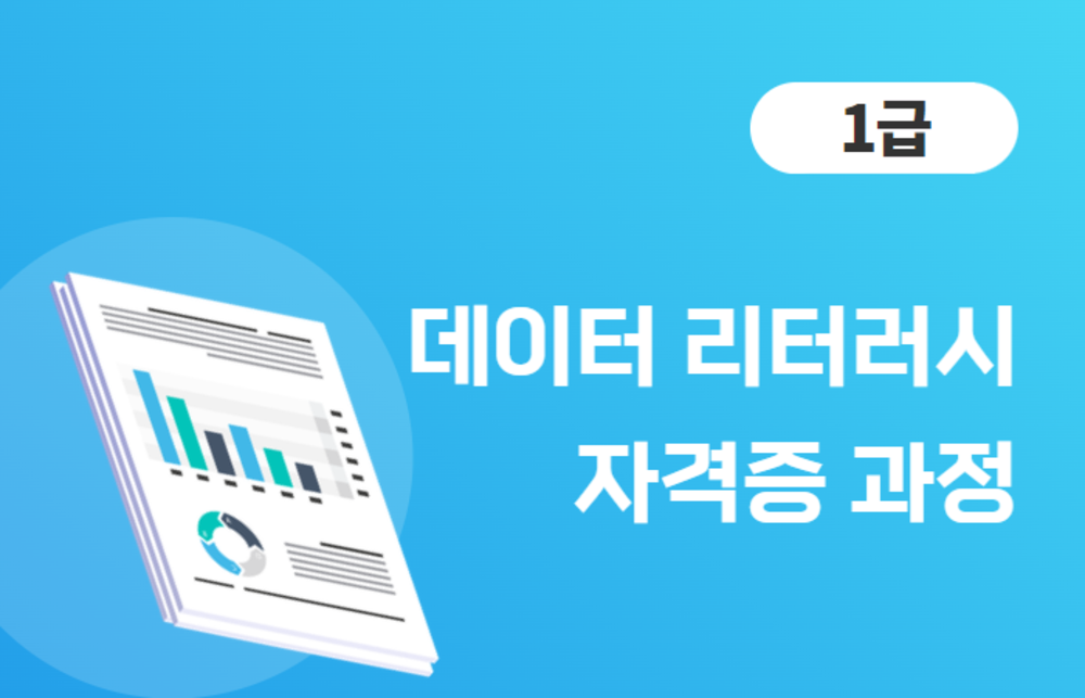 데이터 리터러시 자격증 1급 이미지