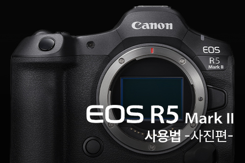 EOS R5 Mark II 사용법 -사진편-