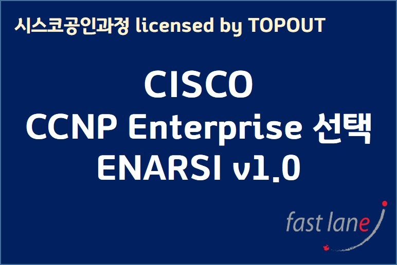CCNP Enterprise 선택 ENARSI v1.0 (Implementing Cisco Enterprise Advanced Routing and Services)