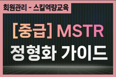 [중급] MSTR 정형화 가이드