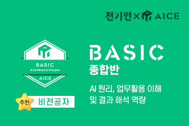 AICE - Basic [종합반]