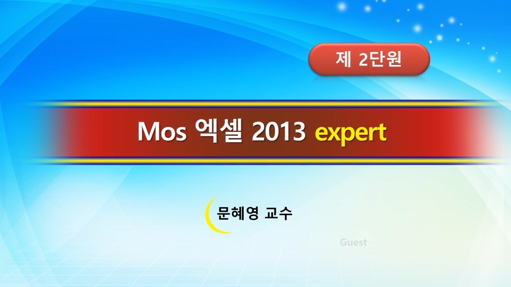 [HD]MOS Excel 2013 Expert 자격증 따기